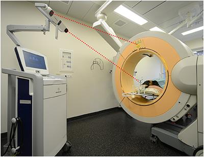 Feasability of a Frameless Brain Biopsy System for Companion Animals Using Cone-Beam CT-Based Automated Registration